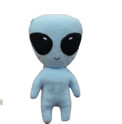 Muñeca de fieltro personalizado