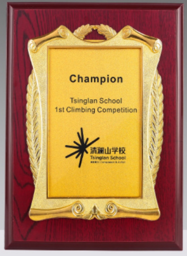 Medallas