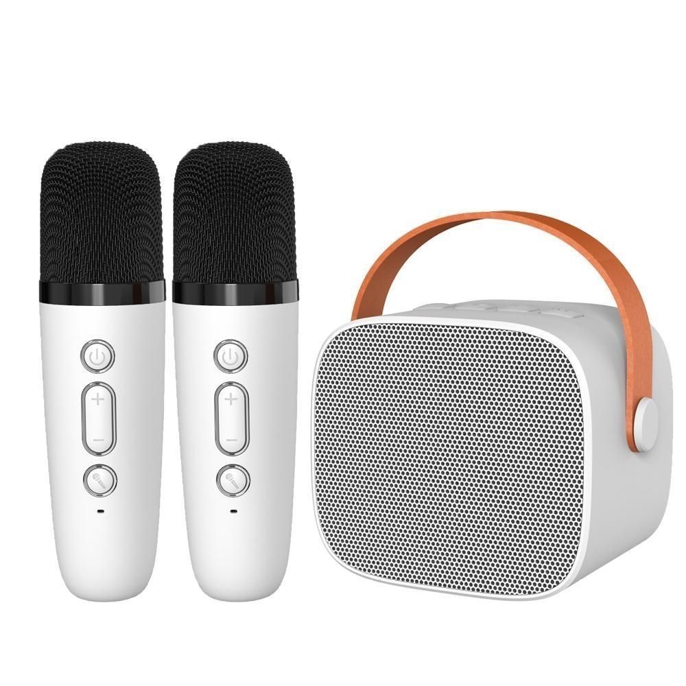 Haut-parleur portable karaoké