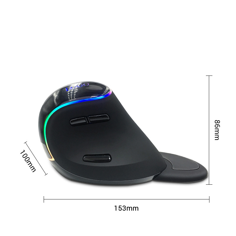 Souris ergonomique sans fil avec suppor main