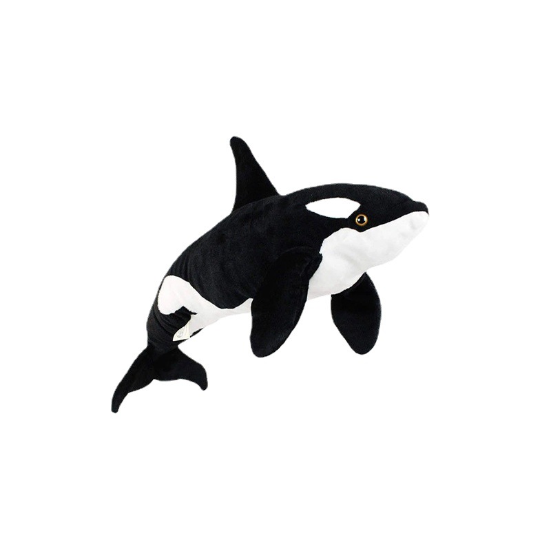 Orca ballena