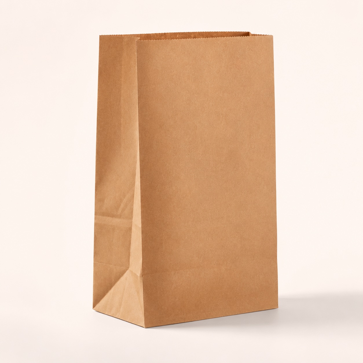 Brown Kraft Paper Bag Large