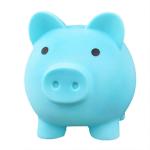 Banque porcine de pvc view 2