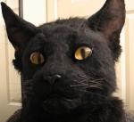Masque animal en peluche view 4