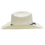 Paja sombrero de vaquero occidental view 2
