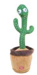 Danser le cactus chantant view 1