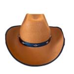 Adulto sintió sombrero de vaquero view 1