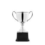 Trophée souvenir view 2