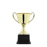 Trophée souvenir view 1
