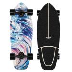 Skateboard terrestre view 4