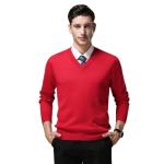 Pull couleur solide col v view 2
