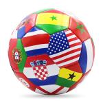 No.5 coupe du monde pour le football view 2