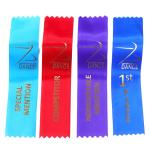 8x2 pulgadas premio cinta view 2