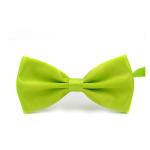 Polyester hommes nœud papillon view 4