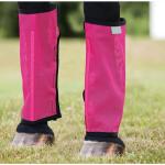 Gardes des jambes de cheval view 2