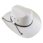Chapeau de paille de cowboy à bord large view 2