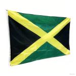 120x66 pouces drapeau view 2
