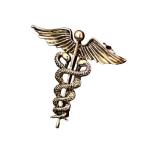 Broche de caduceus view 2