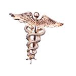 Broche de caduceus view 4