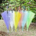 Pvc transparente paraguas view 1