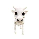 Animal esqueleto view 2