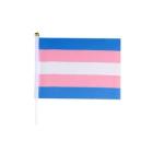 14x21cm drapeau arc-en-ciel view 3