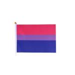 14x21cm drapeau arc-en-ciel view 4