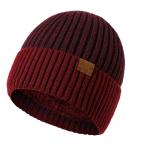 Bonnet d'hiver pour hommes doublure molle polaire view 2