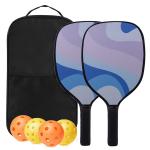 Pickleball set view 2