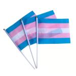 Drapeau de fierté arc-en-ciel view 5