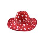 Eva chapeau de cowboy en denim composite avec velours view 1