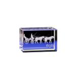 Petit cube plat 3d cristal récompense view 2