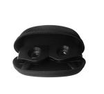 Pesca binocular view 2