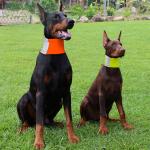 Écharpe de bandana réfléchissante de sécurité pour chien view 4