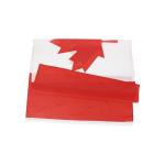 Bandera canada view 2