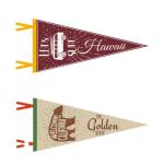 Drapeau feutre triangulaire couleur view 3