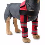 Perro doble rodilla brazalete view 1