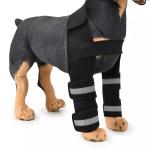 Perro doble rodilla brazalete view 2