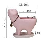 Mignon chat succulent pot de plante avec plateau view 2