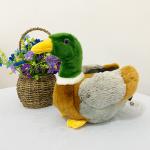 Mallard pato relleno animal view 2