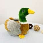 Mallard pato relleno animal view 3