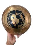 5 balle de football view 2