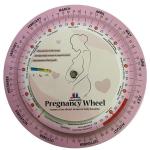 Disque de calcul de la date papier view 2