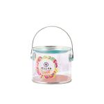 Boîtes de peinture en plastique transparent view 1