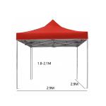 10x10ft pop up canopy tienda view 2