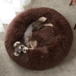 Perro & gato cama view 2