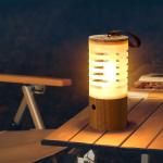 Feu de camping en bois view 2