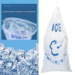 Sac à glace à cordon de 10 lb view 2