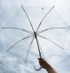 Parapluie transparent avec logo personnalisé view 2
