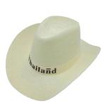 Chapeau de cowboy tricoté pour agriculteurs et fans de camping view 4